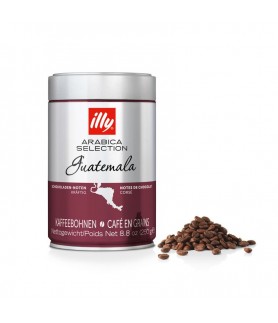 ILLY Guatemala grains boîte...